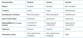 Imagen decorativa del hero