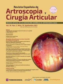 portada Vol. 30. Fasc. 2. Núm. 79. Septiembre 2023